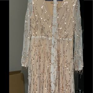 Beautiful Champagne sequence long sleeve dress for any occasion